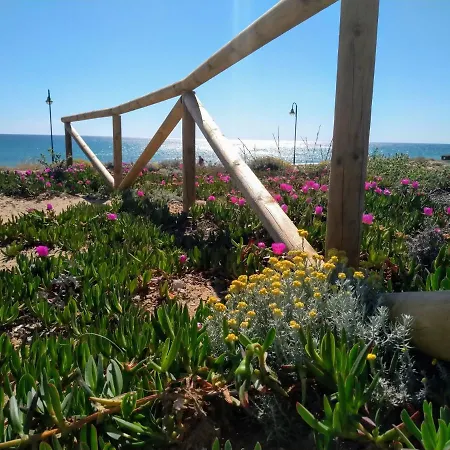 7th Floor Beachfront With Stunning Views *